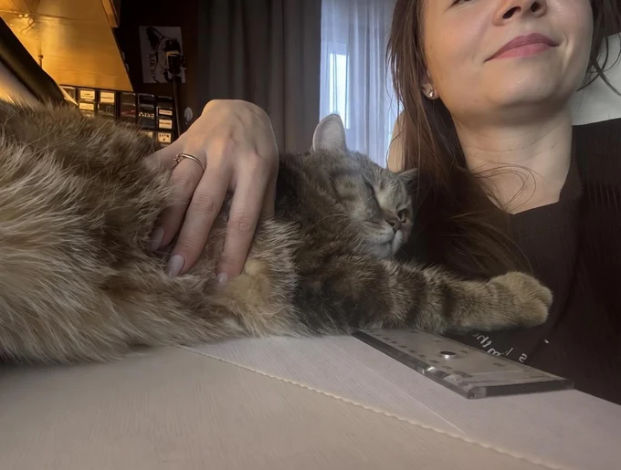 Говорят, кошек заводят те, кто хочет любить,